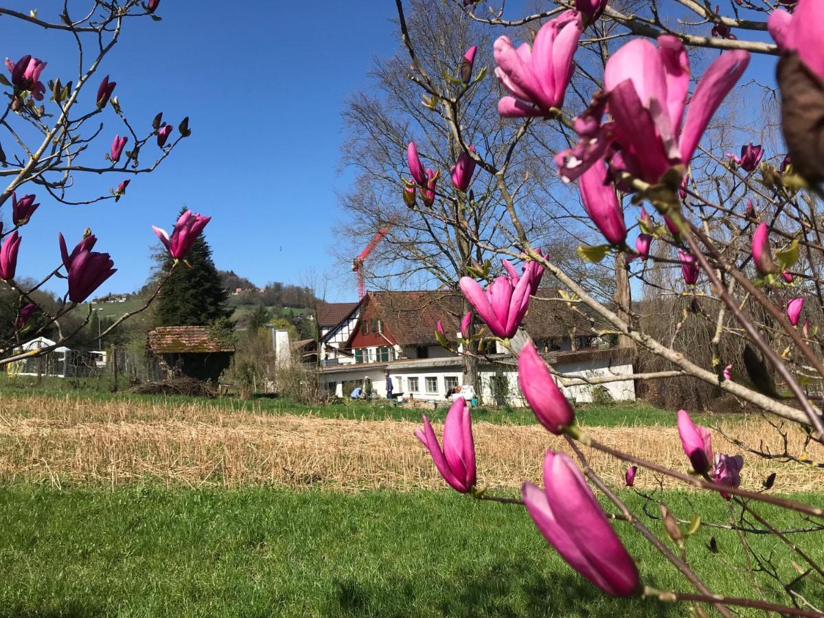 Studio Beim Rhein - Ziegelhuette Flaach Esterno foto