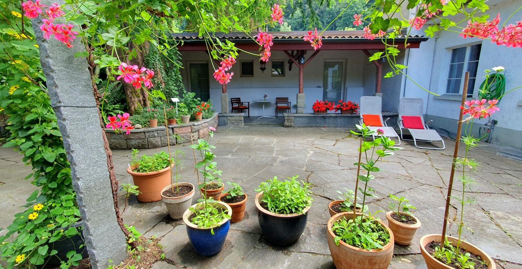 Studio Beim Rhein - Ziegelhuette Flaach Esterno foto